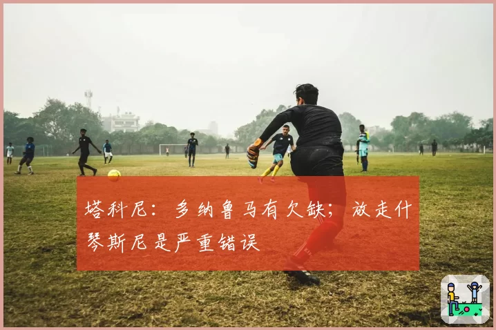 塔科尼:多纳鲁马有欠缺;放走什琴斯尼是严重错误