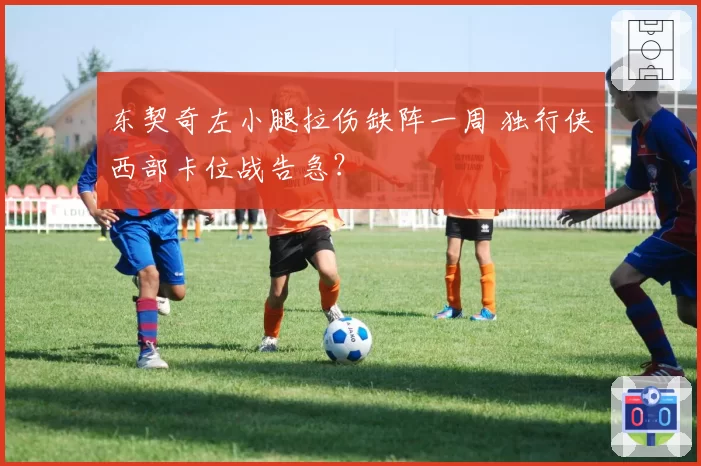 东契奇左小腿拉伤缺阵一周 独行侠西部卡位战告急？