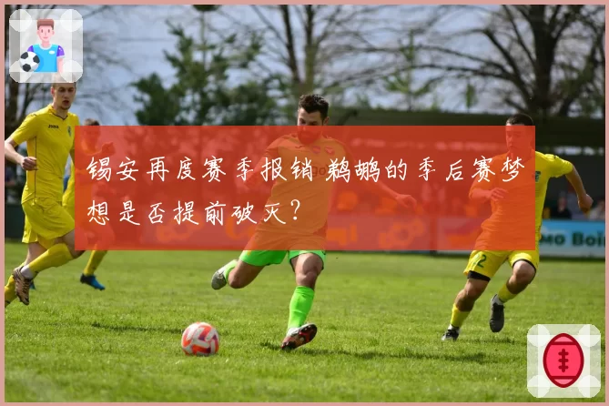 锡安再度赛季报销 鹈鹕的季后赛梦想是否提前破灭？