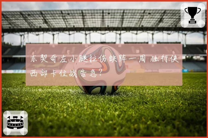 东契奇左小腿拉伤缺阵一周 独行侠西部卡位战告急？